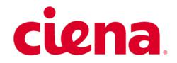 Ciena Carahsoft GSA